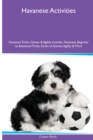 Havanese Activities Havanese Tricks, Games & Agility. Includes : Havanese Beginner to Advanced Tricks, Series of Games, Agility and More - Book