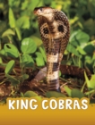 King Cobras - Book