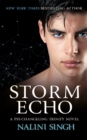 Storm Echo : Book 6 - eBook