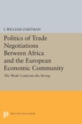 Politics of Trade Negotiations Between Africa and the European Economic Community : The Weak Confronts the Strong - eBook