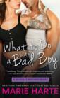 What to Do with a Bad Boy - eBook