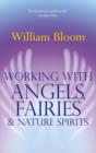 Working With Angels, Fairies And Nature Spirits - eBook