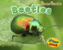 Beetles - Book