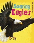 Soaring Eagles - Book