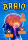 Your Brain : Understand it with Numbers - eBook