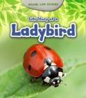 Life Story of a Ladybird - Book