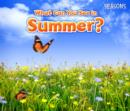 What Can You See in Summer? - Book