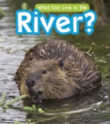 What Can Live in a River? - Book