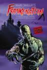 Frankenstein - eBook