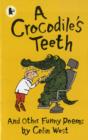 A Crocodile's Teeth - Book
