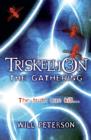 Triskellion 3: The Gathering - eBook