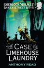 The Baker Street Boys: The Case of the Limehouse Laundry - eBook