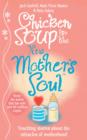 Chicken Soup for the New Mother's Soul : Touching stories about the miracles of motherhood - eBook