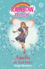 Amelie the Seal Fairy : The Ocean Fairies Book 2 - eBook