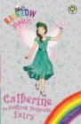 Catherine the Fashion Princess Fairy : Special - eBook