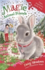 Magic Animal Friends: Pippa Hoppytail's Rocky Road : Book 21 - Book