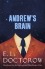 Andrew's Brain - Book