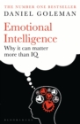 Emotional Intelligence : Why it Can Matter More Than Iq - eBook