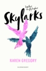 Skylarks - eBook