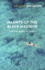 Haunts Of The Black Masseur : The Swimmer as Hero - eBook