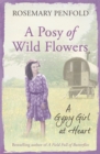 A Posy of Wild Flowers : A Gypsy Girl at Heart - Book