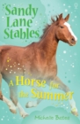 A Horse for the Summer - Book