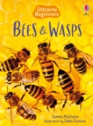 Bees and Wasps - Book