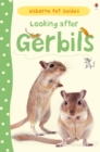 Looking after Gerbils - Book