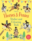 Horses & Ponies Sticker and Colouring Book - Book