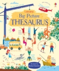 Big Picture Thesaurus - Book