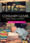 Consumer Culture : History, Theory and Politics - Book