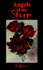 Angels of the Storm - Book