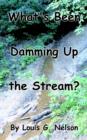 What's Been Damming Up the Stream? - Book