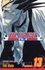 Bleach, Vol. 13 - Book