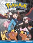 Pokemon Black and White, Vol. 4 - Book