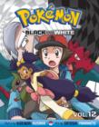 Pokemon Black and White, Vol. 12 - Book