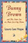 Bunny Brown and His Sister Sue at Aunt Lu's City Home - Book