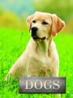 Dogs - Book