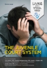 The Juvenile Court System - eBook