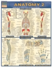 Anatomy 2 - Reference Guide (8.5 x 11) : a QuickStudy Reference Guide - eBook