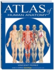 Atlas Of Human Anatomy - Book