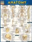 Anatomy Easel Book : a QuickStudy reference tool - Book