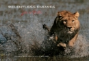 Relentless Enemies : Lions and Buffalo - Book