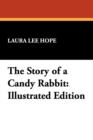The Story of a Candy Rabbit : Illustrated Edition - Book