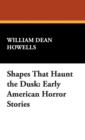 Shapes That Haunt the Dusk : Early American Horror Stories - Book