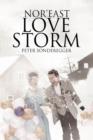 Nor'east Love Storm - Book