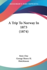 A Trip To Norway In 1873 (1874) - Book