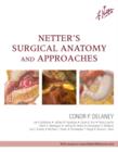 Netter's Surgical Anatomy and Approaches - Book