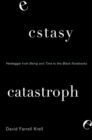 Ecstasy, Catastrophe : Heidegger from Being and Time to the Black Notebooks - eBook