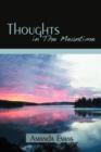 Thoughts in the Meantime - Book